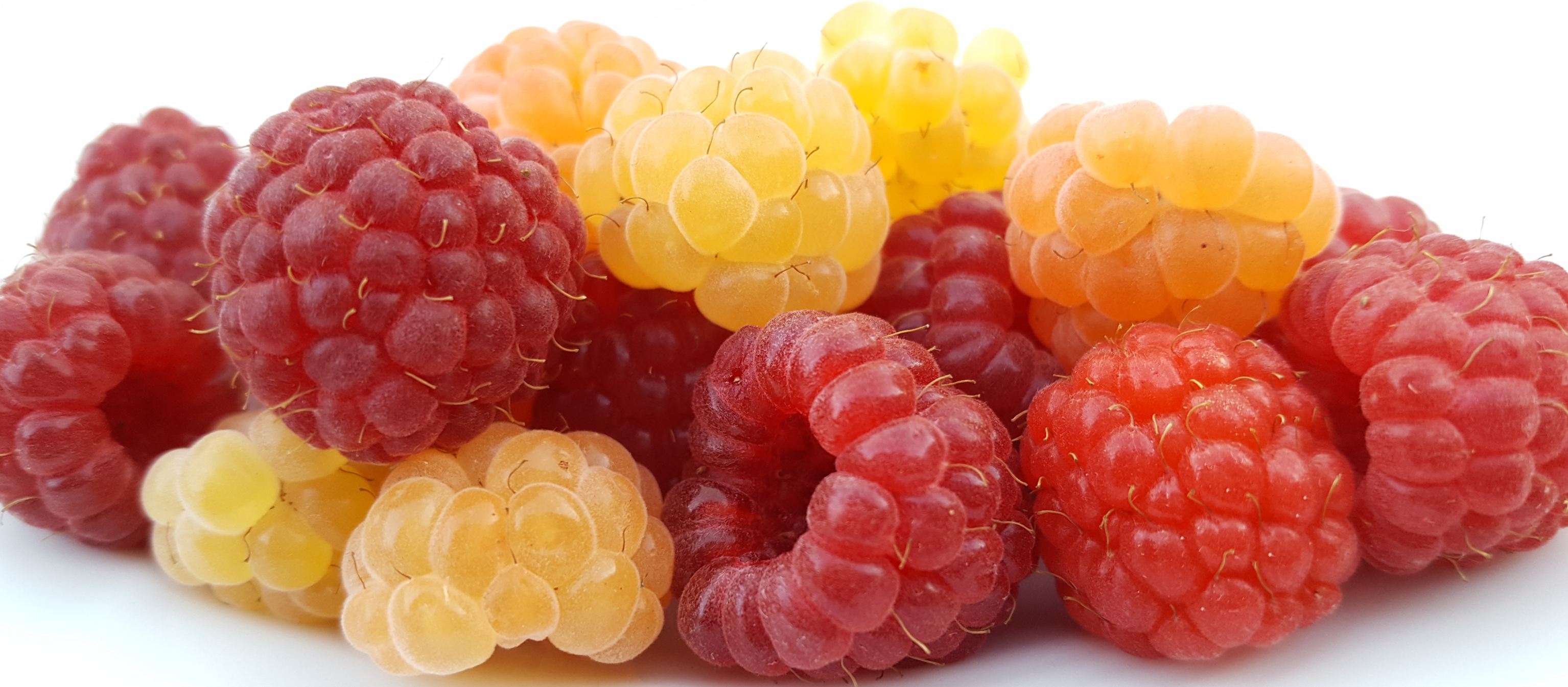 Raspberries